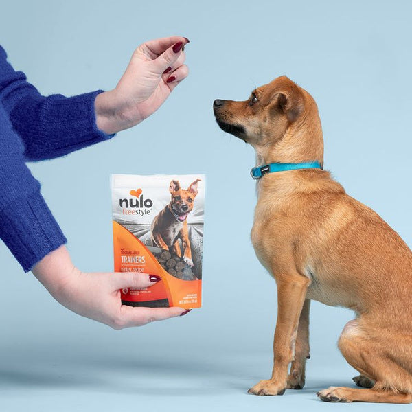 Supplements For Dogs