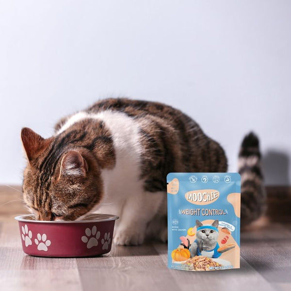 Supplements For Cats