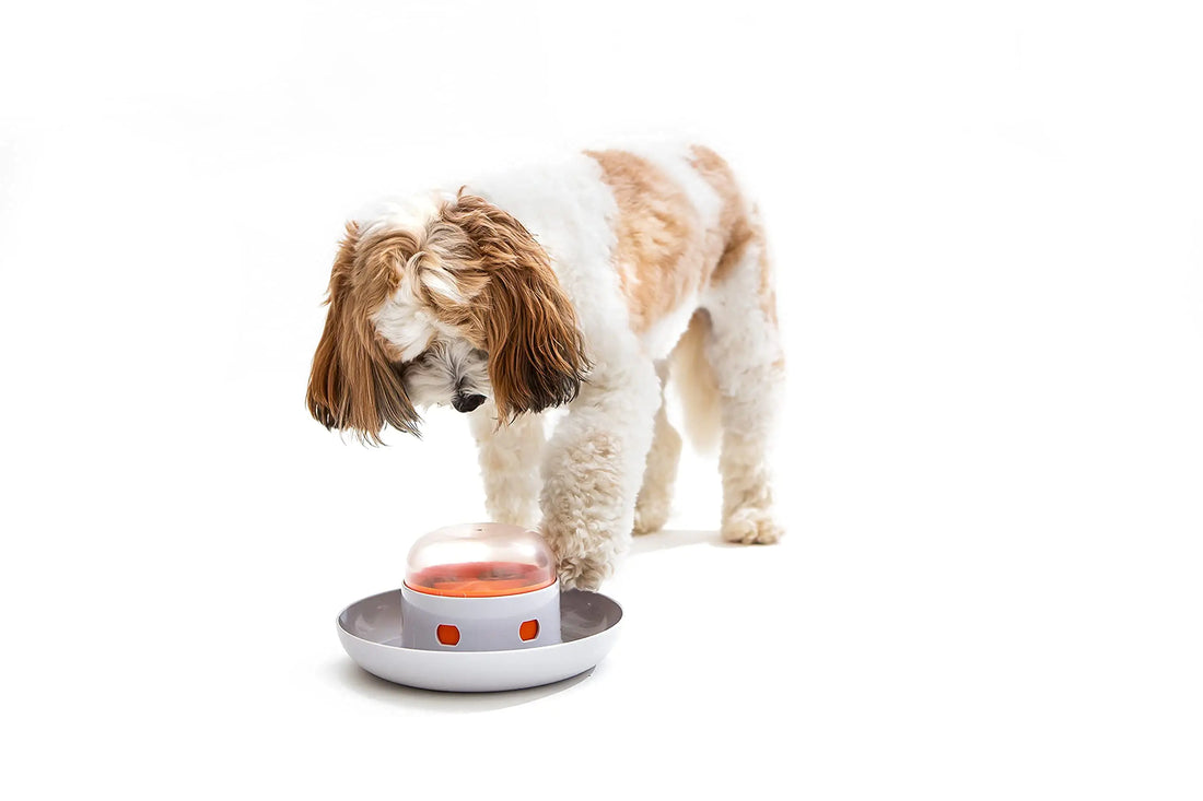 The UFO Interactive Push Button Food Treat Dispenser Bowl for Dogs