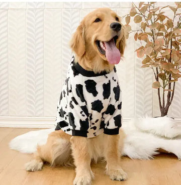 Yasmin Jacket - Winter Clothing for Dogs (Single Piece)