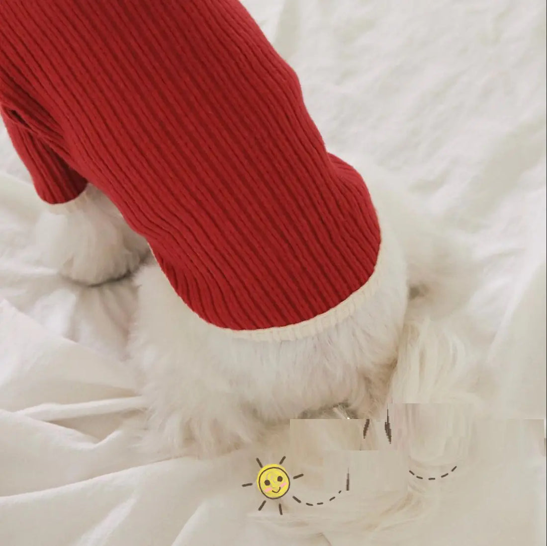 Casual Color Contrast Clothing for Cats and Dogs