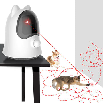 Laser Toys for Indoor Cats