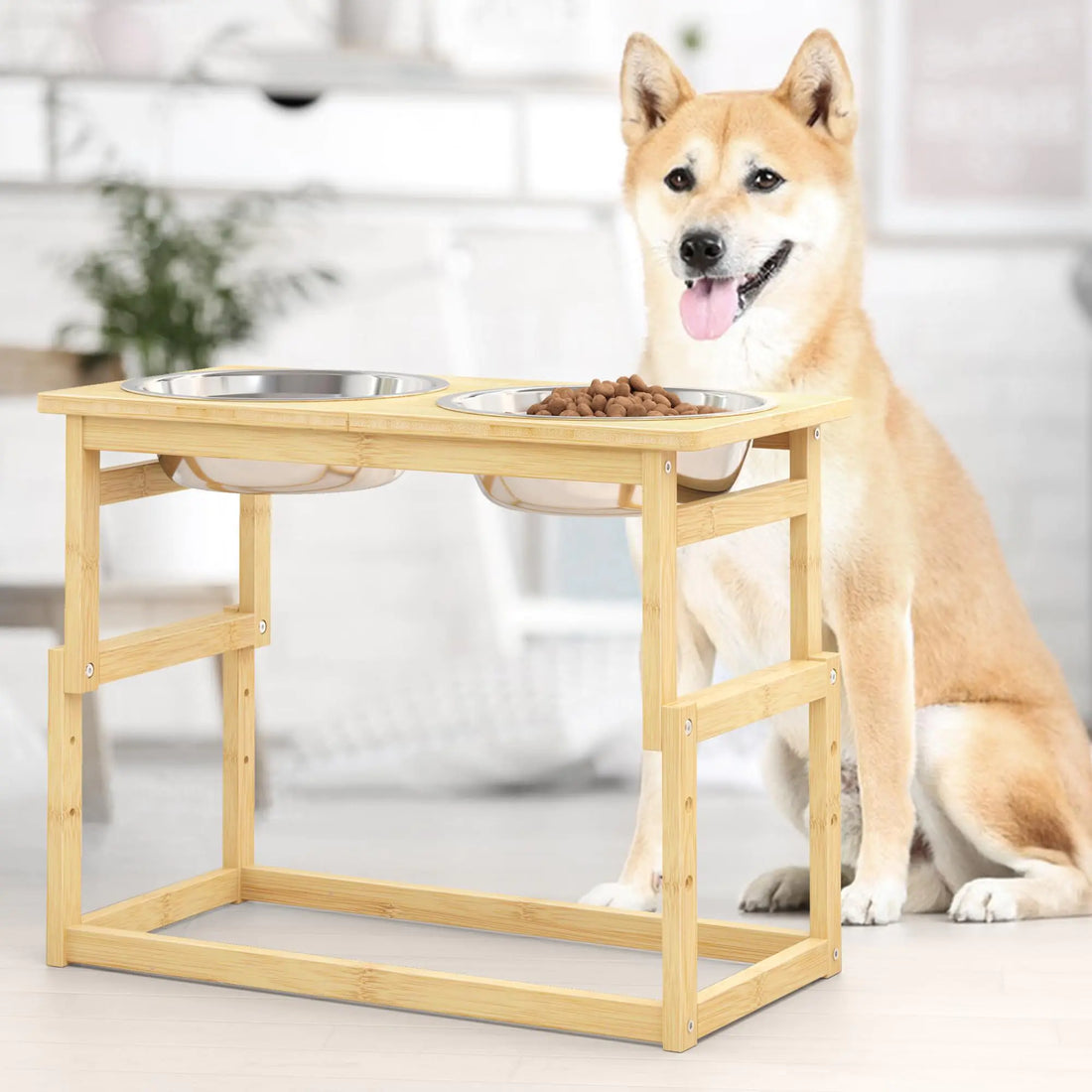 Elevated Dog Bowls with 2 Stainless Steel Dog