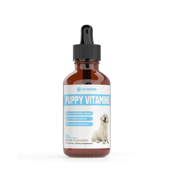 Puppy Vitamins for Small Dogs