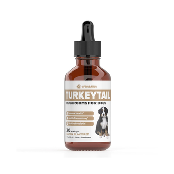 Turkey Tail Mushroom for Dogs