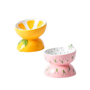 Ceramic Raised Cat Bowl Anti Vomiting Elevated Tilted Cat Food