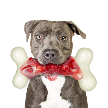 Aggressive Chewers Dog Toys for Large Dogs