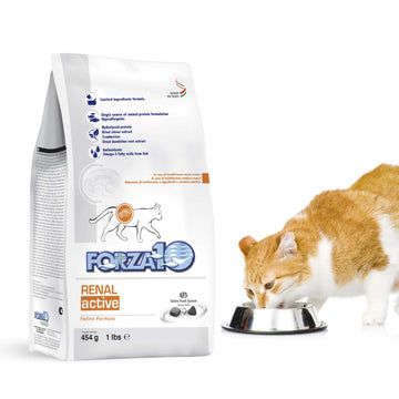 Forza10 Active Kidney Renal Diet Dry Cat Food for Adult Cats