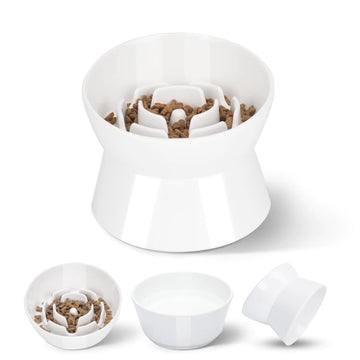 F FD Hub Tilted Raised Slow Feeder Bowl for Dogs