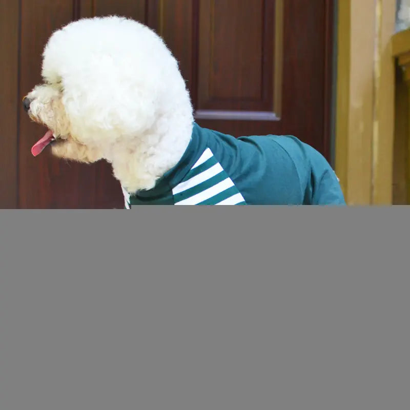 Pet Clothing for Dogs - Spring/Summer Bodysuit