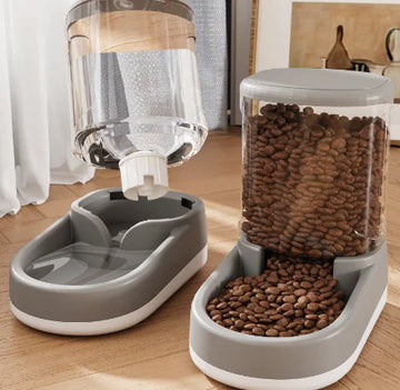 Feeder and Water Dispenser for Cats